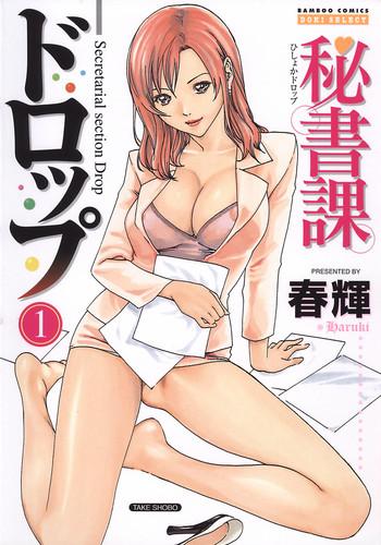 hishoka drop 1 secretarial section drop cover