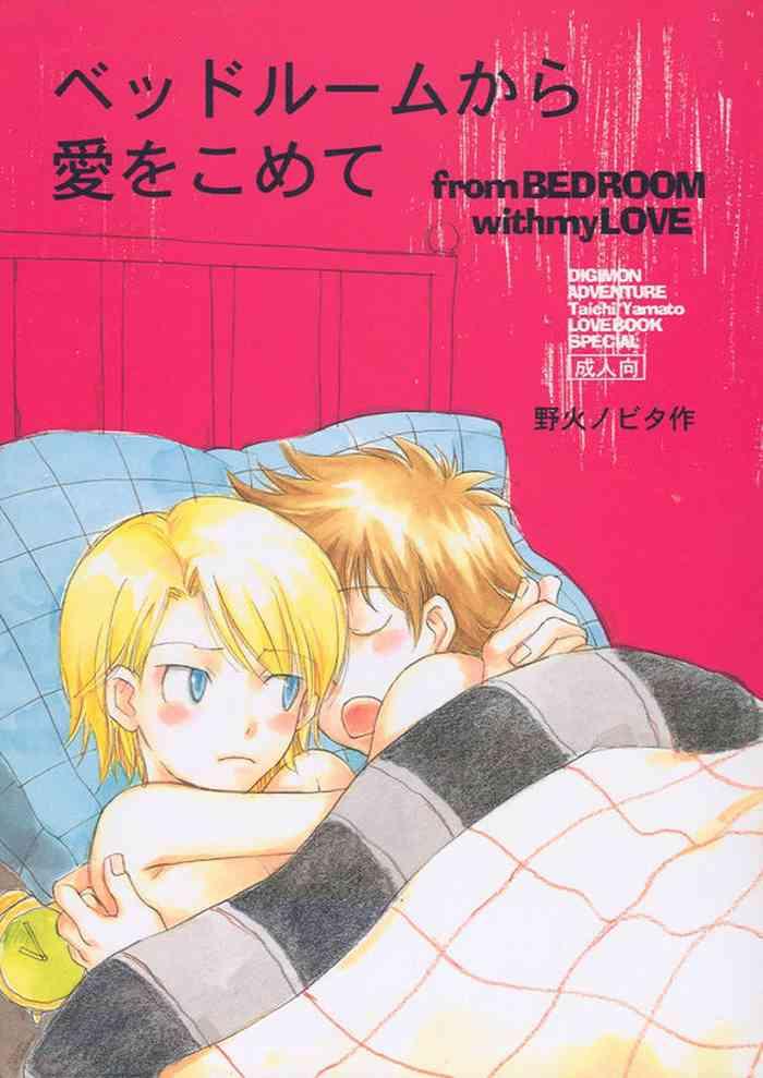 gekkou touzoku nobi nobita bedroom kara ai o komete digimon adventure 02 english cover