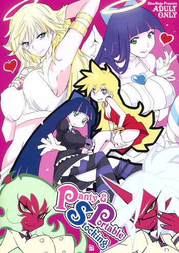 panty stocking portable cover