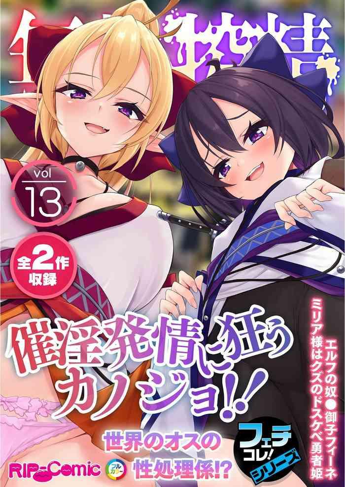 vol 13 cover