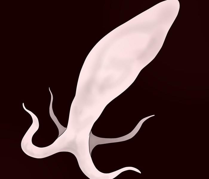 sperm creature on male cover